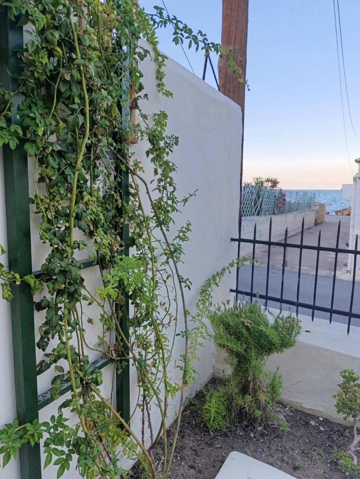 Jasmine Home By The Sea By 8Essentially Καλύβες Εξωτερικό φωτογραφία